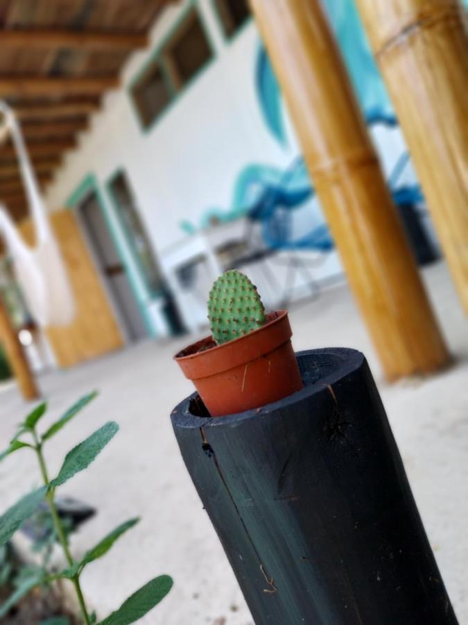 Flor De Bambu Lägenhet Uvita Exteriör bild